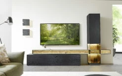 Hartmann Wohnwand Kilva, Kernesche Massiv Anthrazit Gebeizt, Spaltholz-Applikation